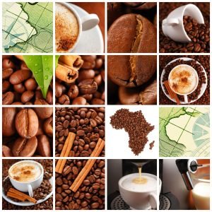 online course in coffee: an image of different coffee-themed tiles