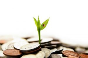 passion: a small plant growing out from a pile of coins